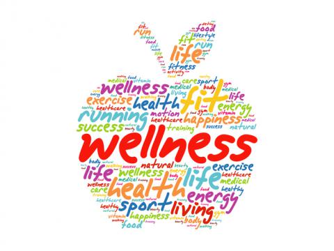 wellness (1)